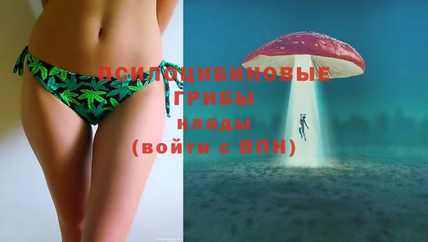 MDMA Premium VHQ Белокуриха