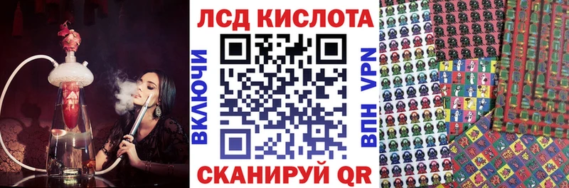 купить наркотики цена  Чкаловск  Наркотические марки 1,5мг 