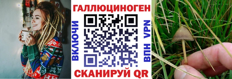 где купить наркоту  OMG рабочий сайт  Псилоцибиновые грибы Psilocybe  Чкаловск 