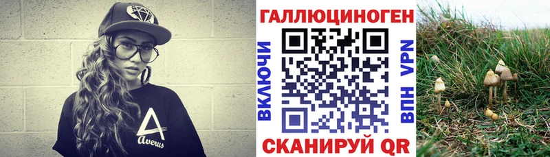 Псилоцибиновые грибы Psilocybe Чкаловск